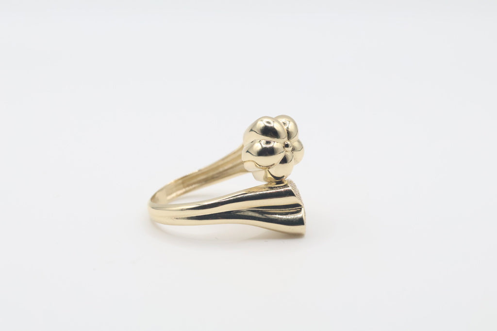 Anillo de Mujer 10Kt