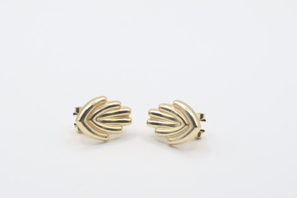 Aretes 10Kt